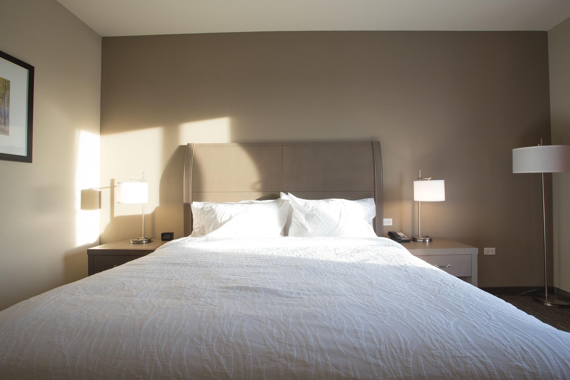 Hilton Garden Inn Bolingbrook I-55 Dış mekan fotoğraf